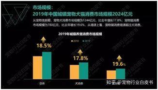 创作多少个视频才能爆料,100个视频