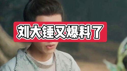 刘大锤爆料男团视频,男团幕后花絮大揭秘  第2张