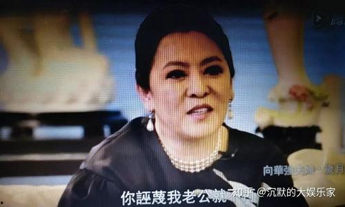 向太爆料香港娱乐圈,香港娱乐圈背后的惊人内幕 第2张 向太爆料香港娱乐圈,香港娱乐圈背后的惊人内幕 第2张