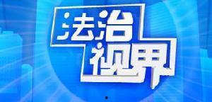 社会与法频道在线观看,实时关注法律动态，共筑法治社会