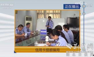 社会与法频道在线观看,实时关注法律动态,共筑法治社会 第2张 社会与法频道在线观看,实时关注法律动态,共筑法治社会 第2张