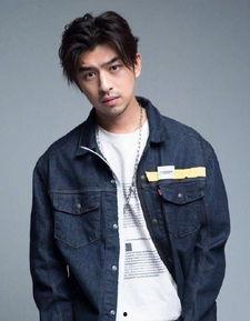 天涯爆料娱乐圈陈柏霖,揭秘明星背后的故事  第2张