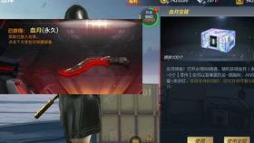 cf手游最新核心体验服爆料,极致体验，战火再燃！