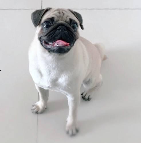 巴哥线索爆料了吗视频在线观看,独家揭秘,在线观看不容错过 第3张 巴哥线索爆料了吗视频在线观看,独家揭秘,在线观看不容错过 第3张