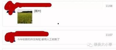 最新爆料图片怎么做,图片背后的惊人真相! 第3张 最新爆料图片怎么做,图片背后的惊人真相! 第3张