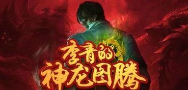 神龙李青爆料视频大全集,揭秘娱乐圈幕后真相 第2张 神龙李青爆料视频大全集,揭秘娱乐圈幕后真相 第2张