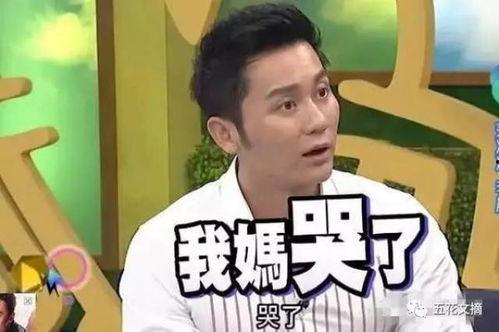 李晨娱乐爆料视频大全