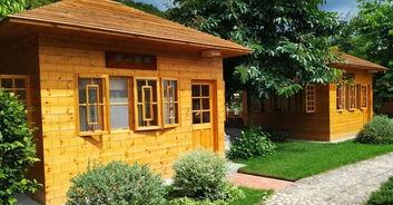 潮汕木屋爆料视频,传统建筑魅力与生活智慧 第2张 潮汕木屋爆料视频,传统建筑魅力与生活智慧 第2张