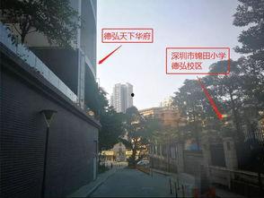 深圳罗湖教育局最新爆料,揭秘教育改革新举措与未来展望