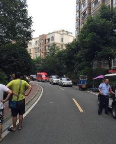 家园小区爆料事件视频,揭秘背后真相