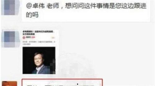 卓伟爆料夫妻视频,真相与争议交织 第2张 卓伟爆料夫妻视频,真相与争议交织 第2张