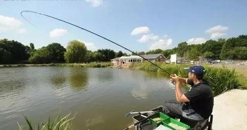 桂林大爆料新闻钓鱼,一场惊心动魄的钓鱼奇遇记 第2张 桂林大爆料新闻钓鱼,一场惊心动魄的钓鱼奇遇记 第2张