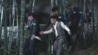 爆料刘哥历史视频,从历史视频看其传奇人生 第2张 爆料刘哥历史视频,从历史视频看其传奇人生 第2张