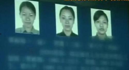 无耻的请求2在线观看,在线观看，揭秘欲望的深渊