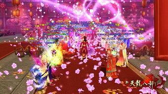 河源婚庆爆料视频大全下载,视频大全精彩瞬间回顾