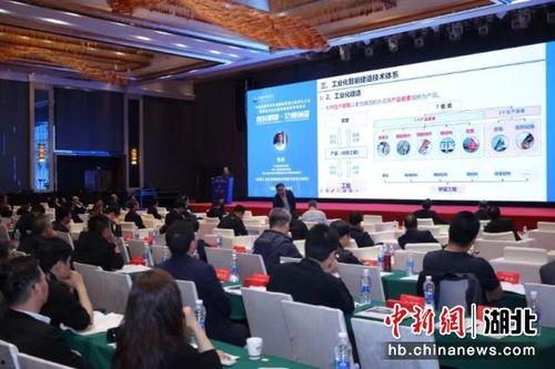 武汉学术会议爆料新闻,颠覆传统认知