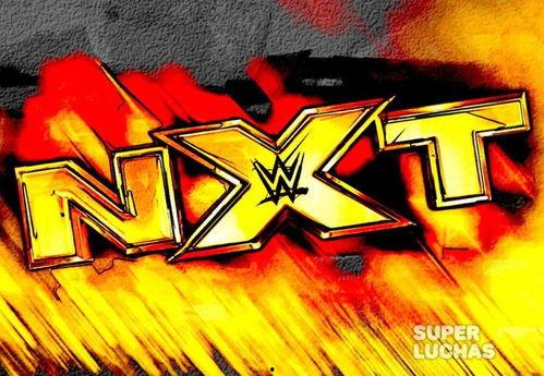 外媒爆料新进展最新消息,揭秘神秘事件背后真相