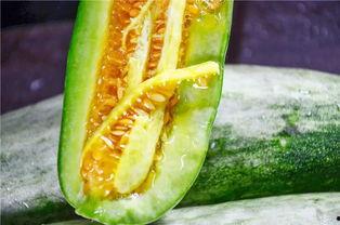 康县网红吃瓜,揭秘当地美食背后的故事