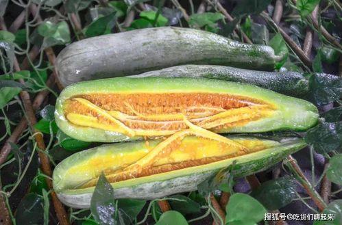 康县网红吃瓜,揭秘当地美食背后的故事 第2张 康县网红吃瓜,揭秘当地美食背后的故事 第2张