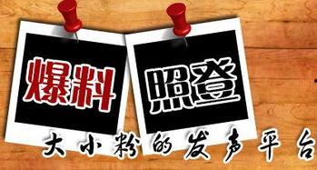 本地爆料新闻有哪些平台,揭秘热门平台信息传播现状