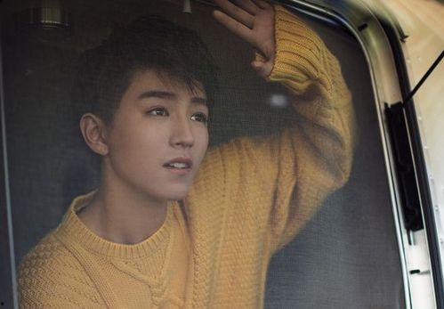 王俊凯漫画爆料视频大全,揭秘偶像幕后生活