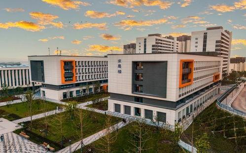 重庆大学城最新爆料,最新爆料带你探秘未来教育新地标