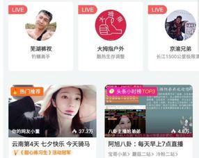 斗鱼小布丁爆料视频,揭秘热门视频幕后故事  第3张