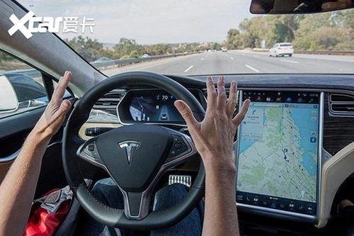 特斯拉爆料小鱼视频,小鱼视频揭秘特斯拉最新动态