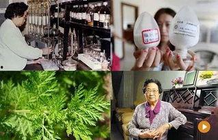 在线观看2017伦理,网络观看时代的道德挑战与反思  第3张