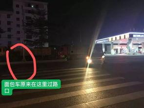 五菱最新爆料视频大全集,视频大全集深度解析  第3张