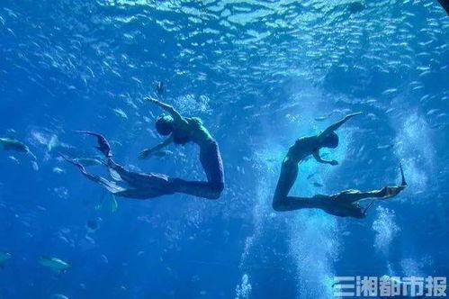 长沙美人鱼爆料视频,水下奇观引发热议