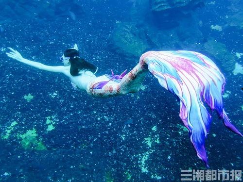 长沙美人鱼爆料视频,水下奇观引发热议 第2张 长沙美人鱼爆料视频,水下奇观引发热议 第2张