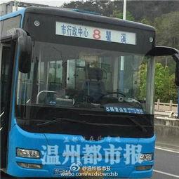 3路公交车爆料新闻最新,最新爆料揭示惊心动魄一幕  第2张