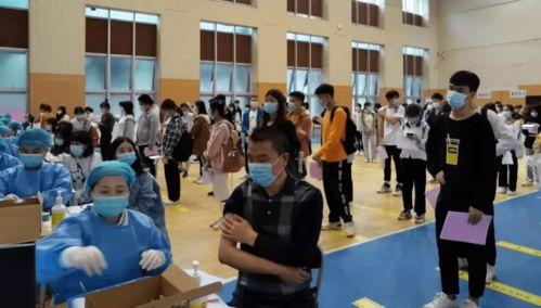 清河至臻爆料最新消息,揭秘神秘项目背后的惊人真相  第3张