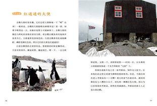南极最新爆料新闻网站  第2张