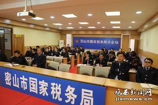 美国税局最新爆料新闻,揭秘巨额逃税案件及内部调查进展