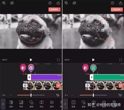 怎样爆料大咖视频剪辑软件,轻松制作惊艳短视频的秘诀 第2张 怎样爆料大咖视频剪辑软件,轻松制作惊艳短视频的秘诀 第2张