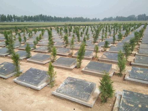 我垂弃你的坟墓在线观看完整版,揭秘我垂弃你的坟墓在线观看完整版背后的故事  第3张