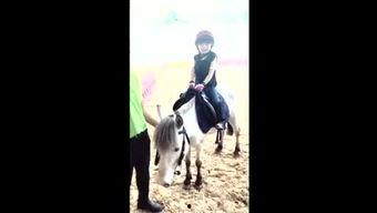 太子爷爆料二驴视频在线观看,二驴视频在线观看背后的故事  第3张