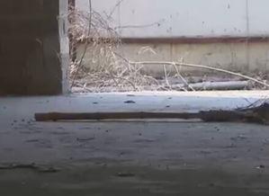 烂尾楼新闻爆料热线,揭秘背后真相与解决方案 第2张 烂尾楼新闻爆料热线,揭秘背后真相与解决方案 第2张