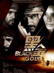 黑金在线观看高清免费,免费高清观影之旅