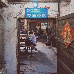 门票茶馆 在线观看,在线观看带你领略茶文化魅力  第2张