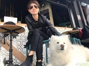 狗崽队爆料汪小菲视频,汪小菲视频内容大揭秘  第2张