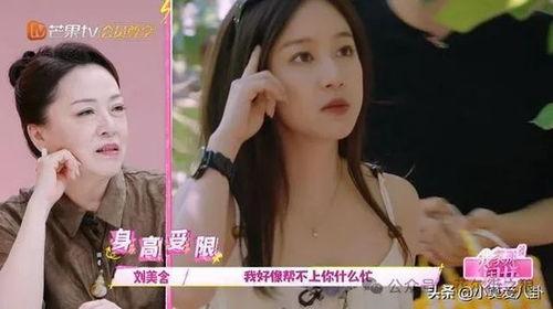 何靖靖吃瓜视频大全集免费观看,揭秘娱乐圈幕后故事