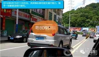 交警抓车爆料视频真实吗,真相还是虚构？